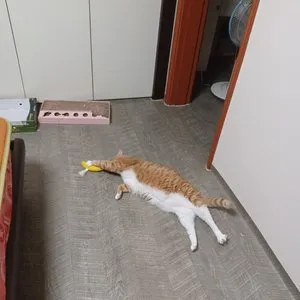 베스트 후기 이미지