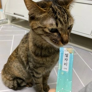 마이베프 관절건강 별자리스틱 15g*4p 베스트 후기 이미지