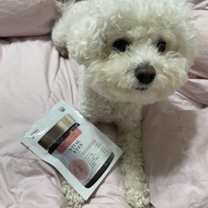 베스트 후기 이미지
