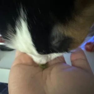 베스트 후기 이미지