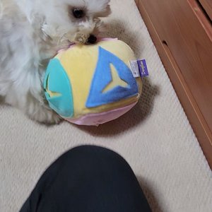 베스트 후기 이미지