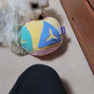 베스트 후기 이미지