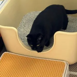 베스트 후기 이미지