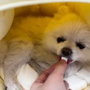 베스트 후기 이미지