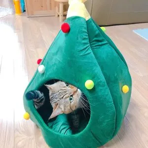 베스트 후기 이미지