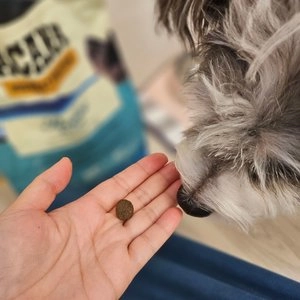 아카나 독 패시피카 레시피 (하이스토 프로테인) 6kg  베스트 후기 이미지