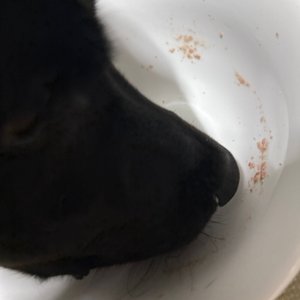 베스트 후기 이미지