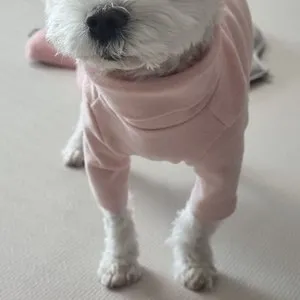 베스트 후기 이미지