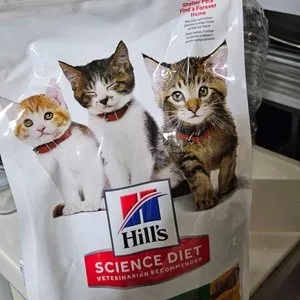 베스트 후기 이미지