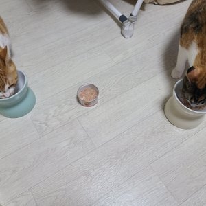 베스트 후기 이미지