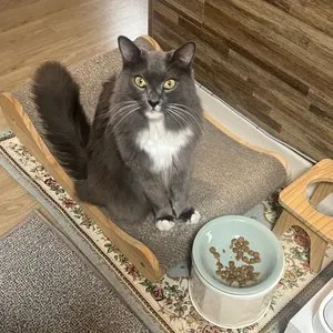 베스트 후기 이미지