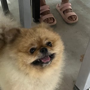 베스트 후기 이미지