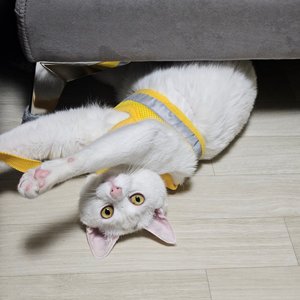 베스트 후기 이미지