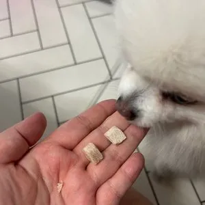 베스트 후기 이미지