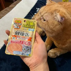 베스트 후기 이미지