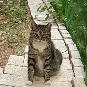 베스트 후기 이미지