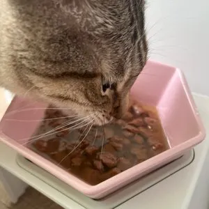 베스트 후기 이미지