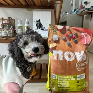 [웰컴딜] now 독 프레쉬 그레인프리 스몰브리드 퍼피 5.4kg 베스트 후기 이미지