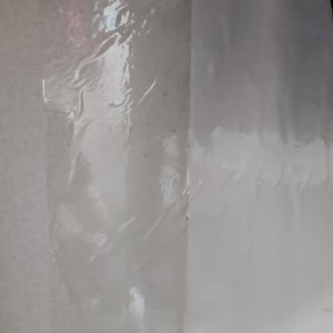 베스트 후기 이미지