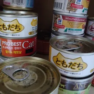 베스트 후기 이미지