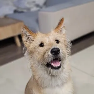 베스트 후기 이미지