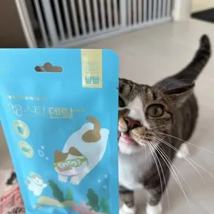 베스트 후기 이미지