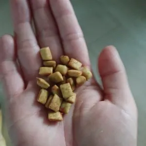 베스트 후기 이미지