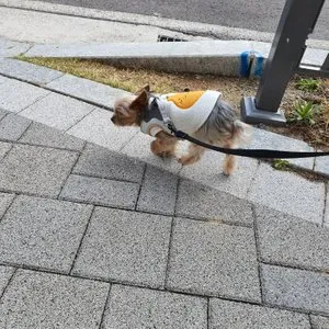 베스트 후기 이미지