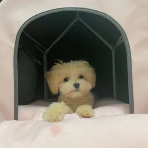 베스트 후기 이미지