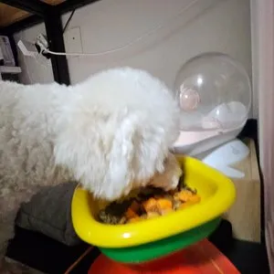 베스트 후기 이미지