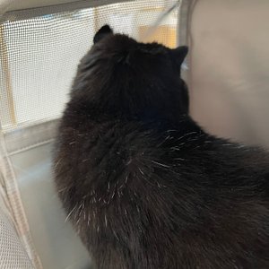 베스트 후기 이미지