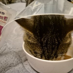 베스트 후기 이미지