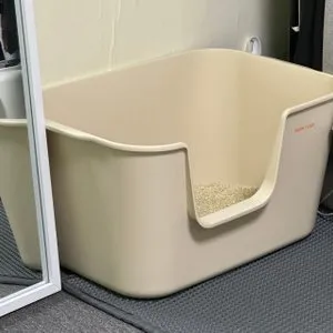 베스트 후기 이미지