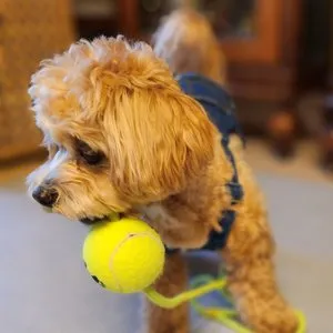 베스트 후기 이미지