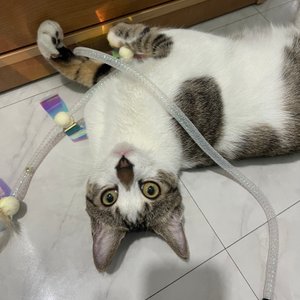 베스트 후기 이미지