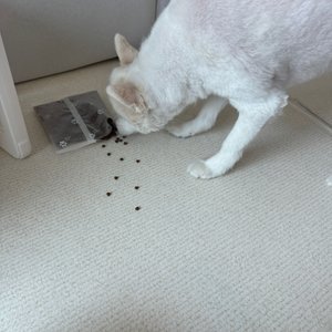 베스트 후기 이미지