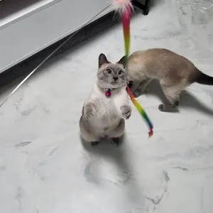 베스트 후기 이미지