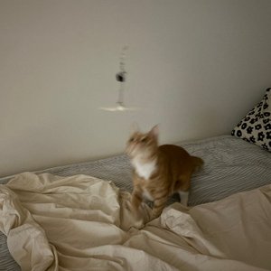 베스트 후기 이미지