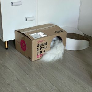 베스트 후기 이미지
