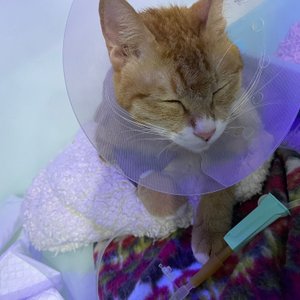 베스트 후기 이미지