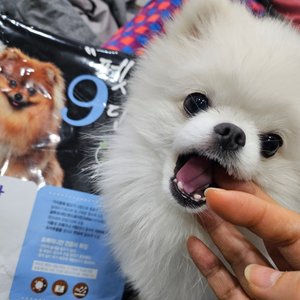 베스트 후기 이미지