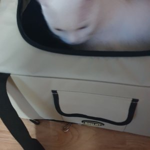 베스트 후기 이미지