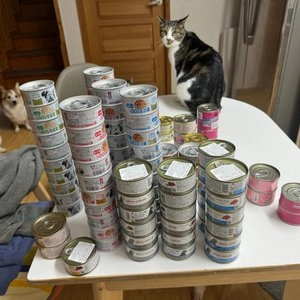 아이시아 캣 먀우먀우 토비키리 치어가 들어간 참치 캔 60g 베스트 후기 이미지