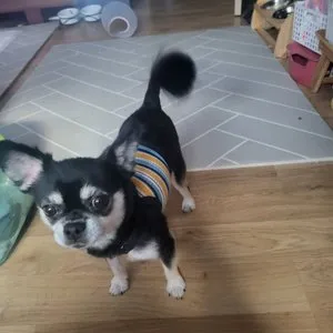 베스트 후기 이미지