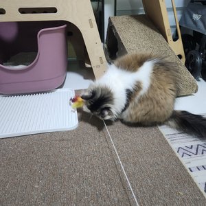 베스트 후기 이미지