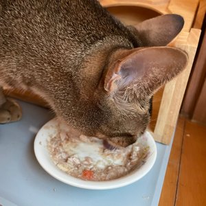 베스트 후기 이미지