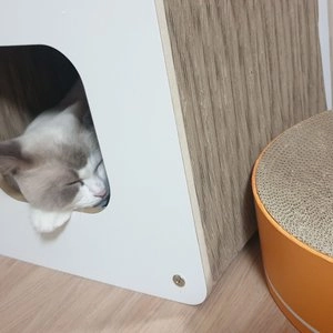 [무료배송] 야오미 이코노믹 큐브 숨숨집 스크래쳐 미디엄/초대형 베스트 후기 이미지