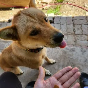 베스트 후기 이미지