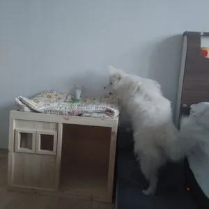 베스트 후기 이미지