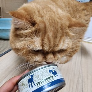 베스트 후기 이미지